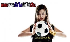 แอพแทงบอล