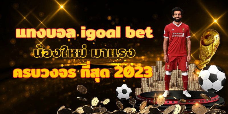 แทงบอล igoal bet